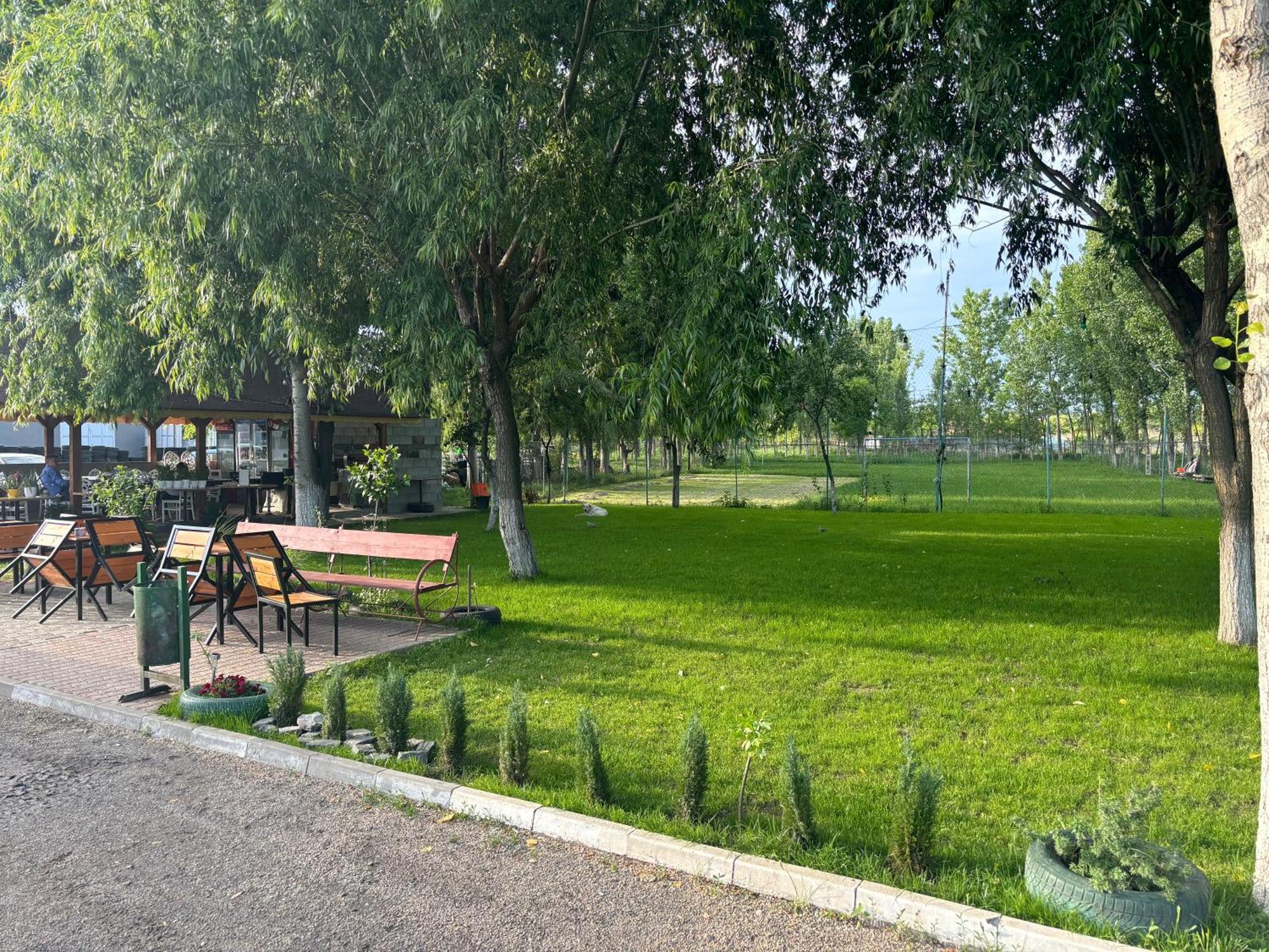 Gigios Sport&Relax Villa Bailesti Exterior photo